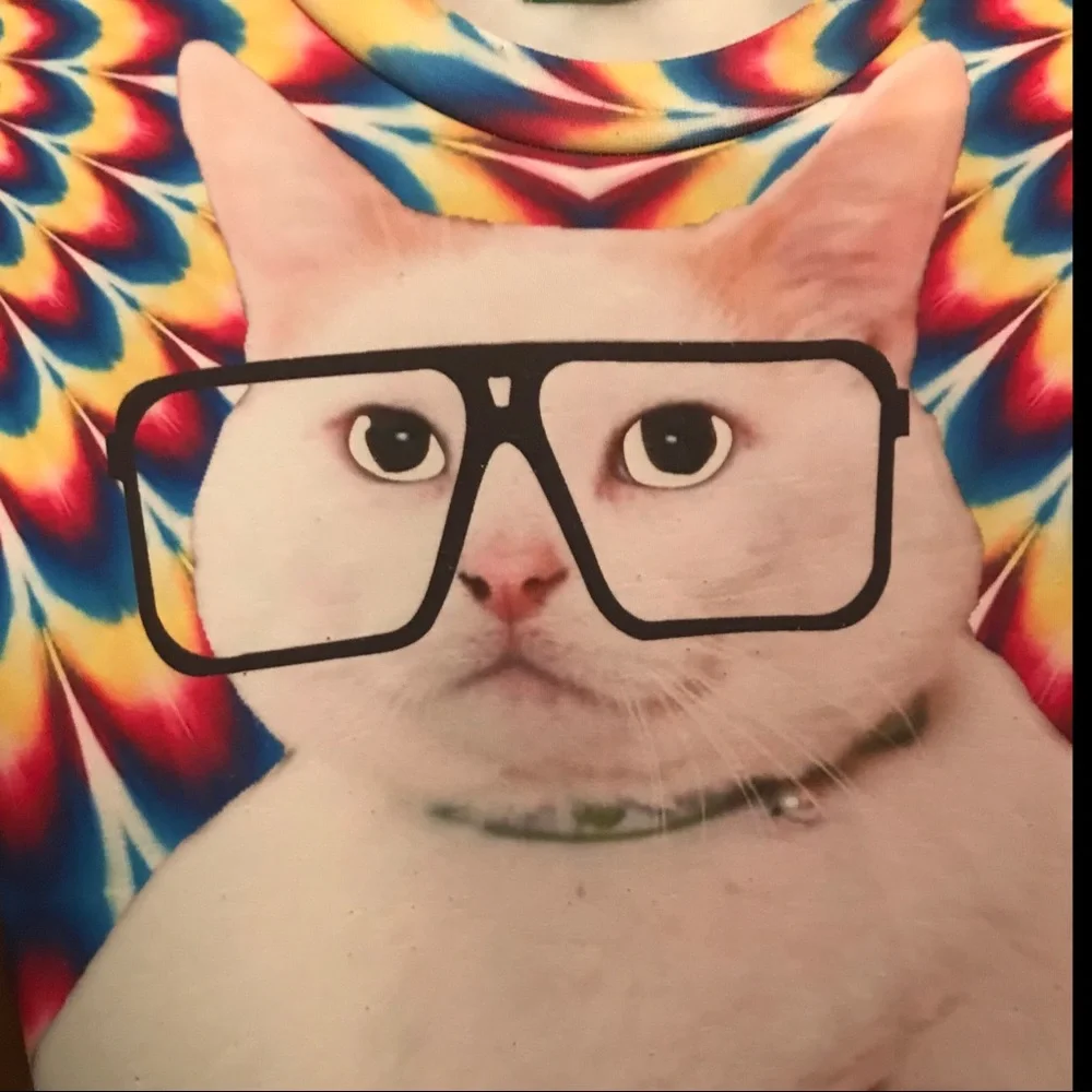 Trippy Rainbow Kitten Cat Sweatshirt Size Medium - Picture 2 of 3